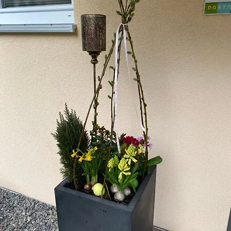 Tischneck - Traumferienhaeuser Im Schwarzwald - Riva