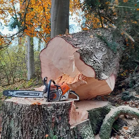 Дом отдыха Tischneck - Traumferienhaeuser Im Schwarzwald - Riva Hardt (Baden-Wurttemberg)