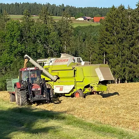 Tischneck - Traumferienhaeuser Im Schwarzwald - Riva Дом отдыха *