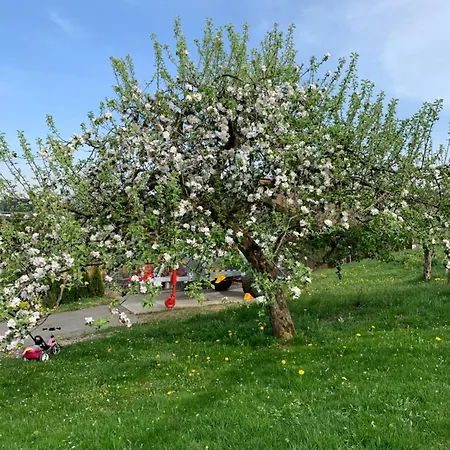 Tischneck - Traumferienhaeuser Im Schwarzwald - Riva Дом отдыха Hardt (Baden-Wurttemberg)