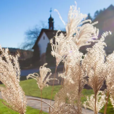 Tischneck - Traumferienhaeuser Im Schwarzwald - Riva Hardt (Baden-Wurttemberg)